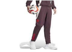 Pantalon de survêtement Prematch Bayern Munich 2024/25