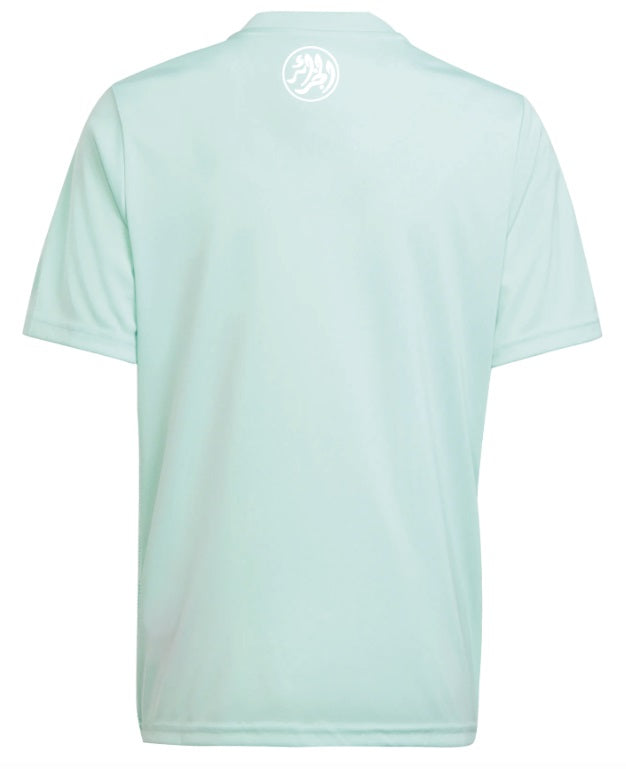 MAILLOT ALGERIE X PALESTINE ICON menthe