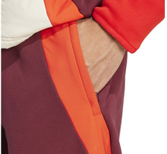 Pantalon de survêtement Bayern Munich European Tiro 2024/25